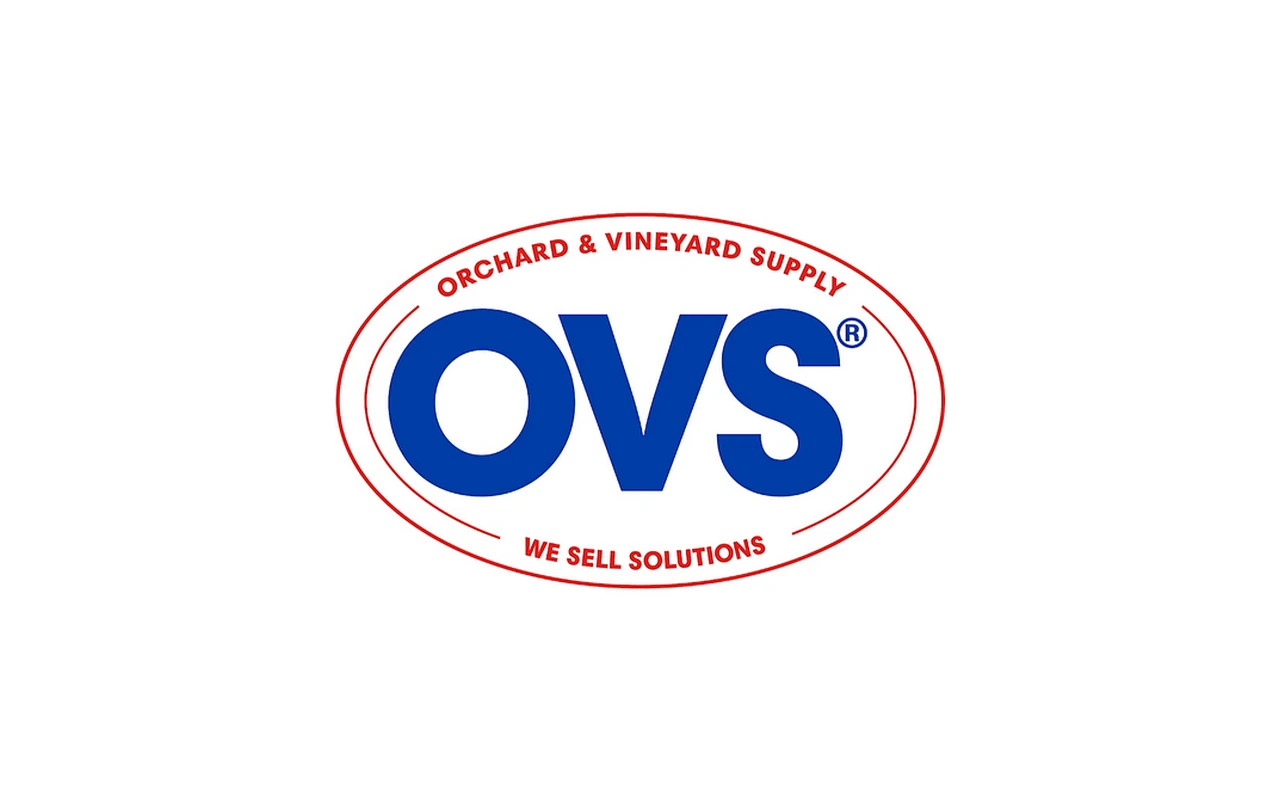 Ovs 25 OVS Gift Card (Italy)