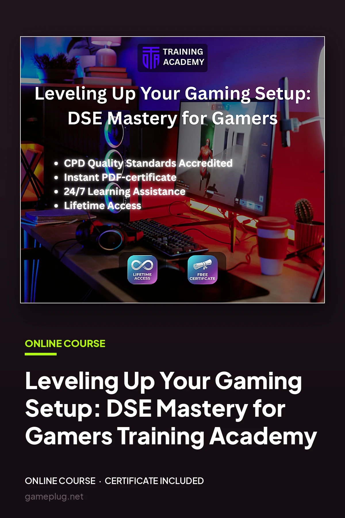 Leveling Up Your Gaming Setup: DSE Mastery for Gamers Course Online Training Academy