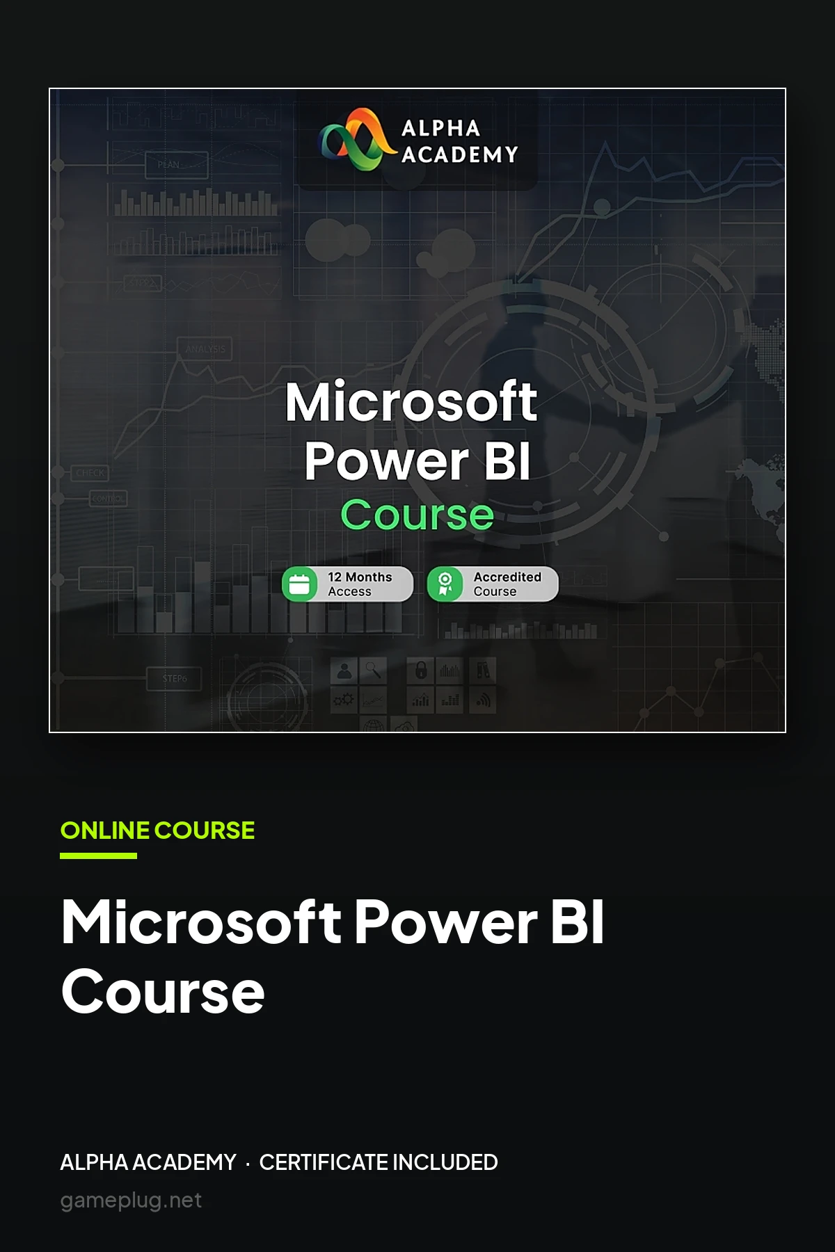 Microsoft Power BI Course Alpha Academy Code