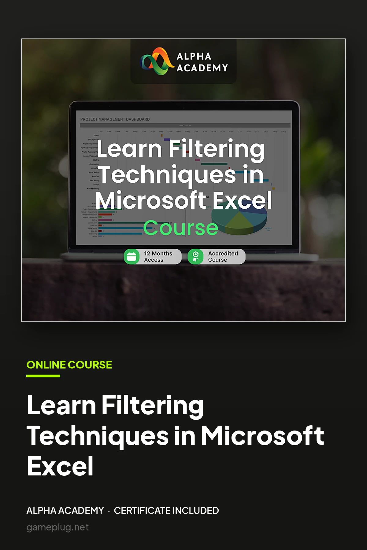 Learn Filtering Techniques in Microsoft Excel Alpha Academy Code