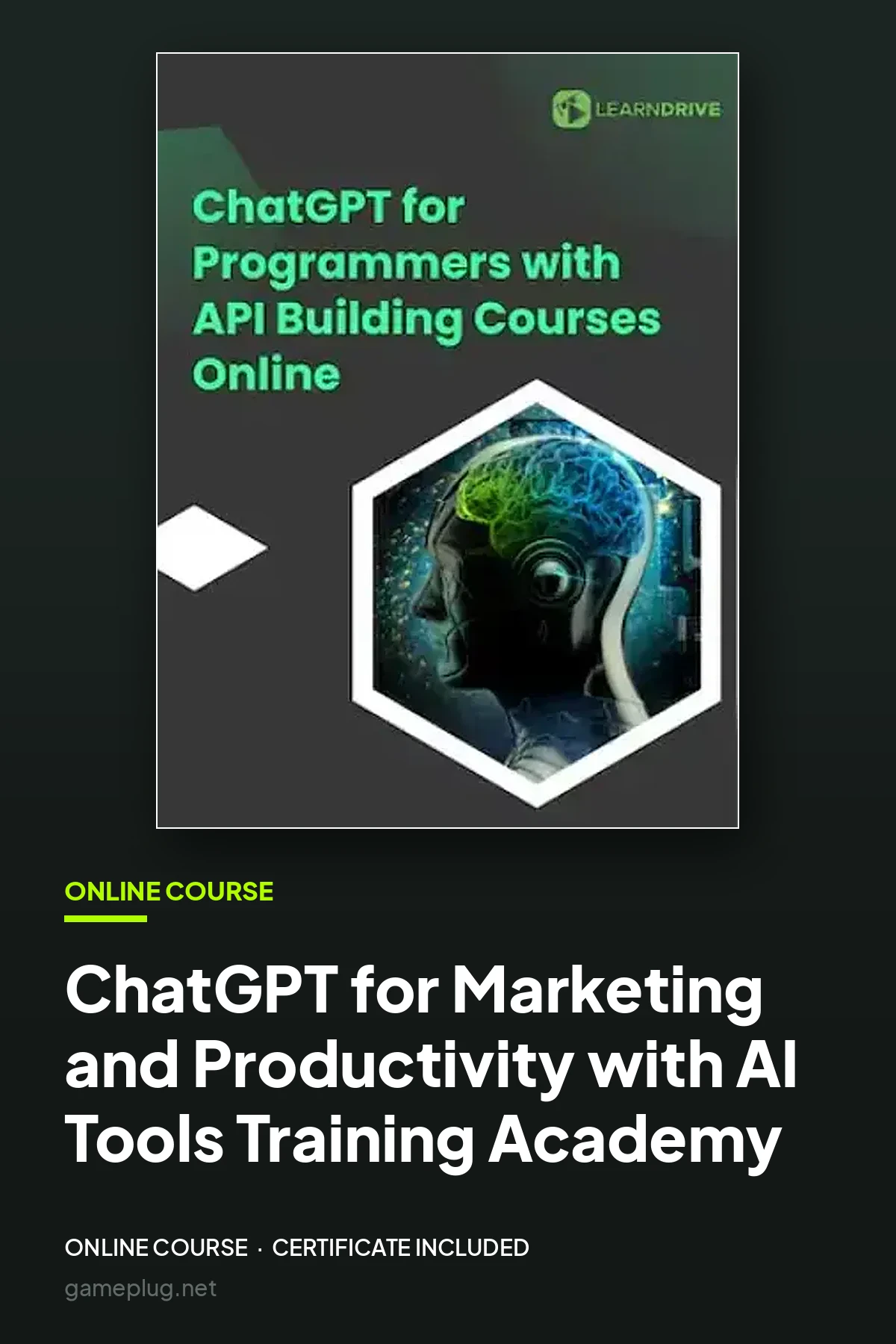ChatGPT for Marketing and Productivity with AI Tools Course Online Training Academy