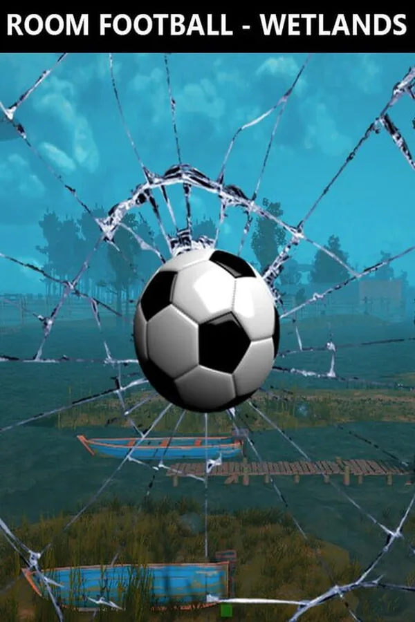 ROOM FOOTBALL: Wetlands PC