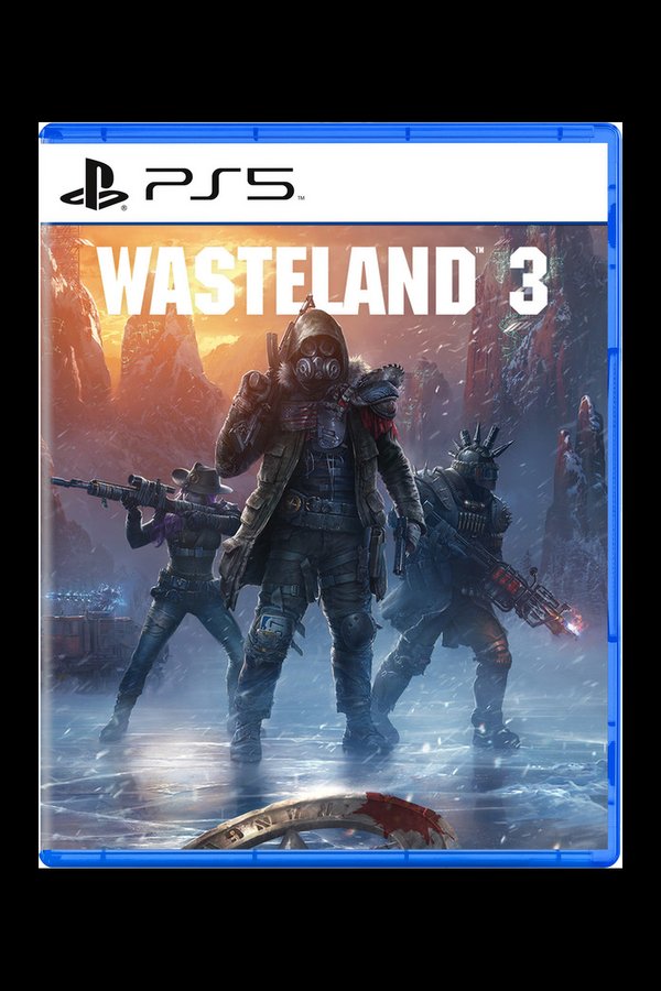Wasteland 3 PS4 / PS5 Online Account Activation