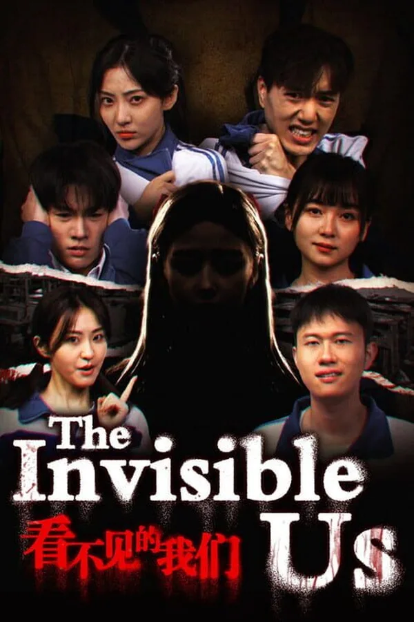 The invisible us PC