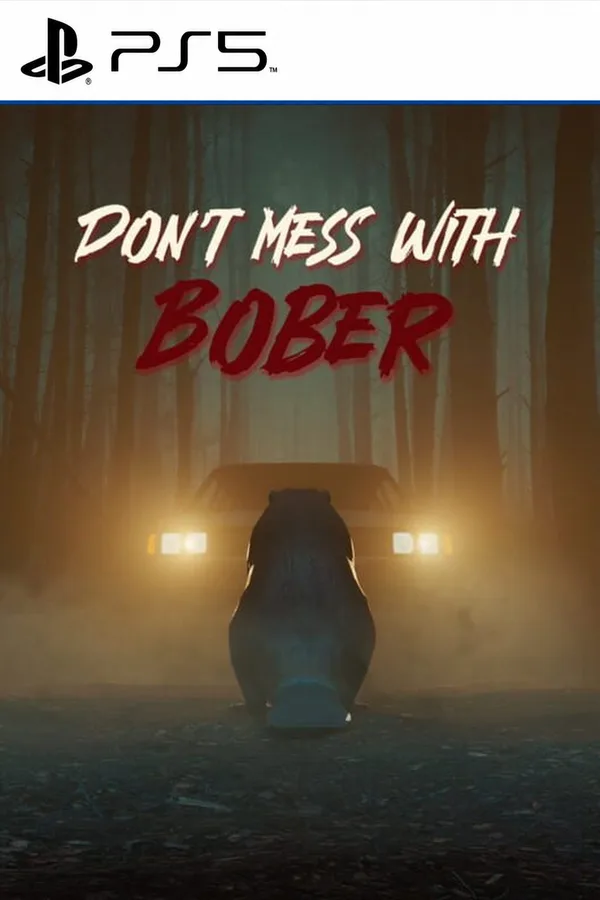 Don't Mess With Bober PS5 Account