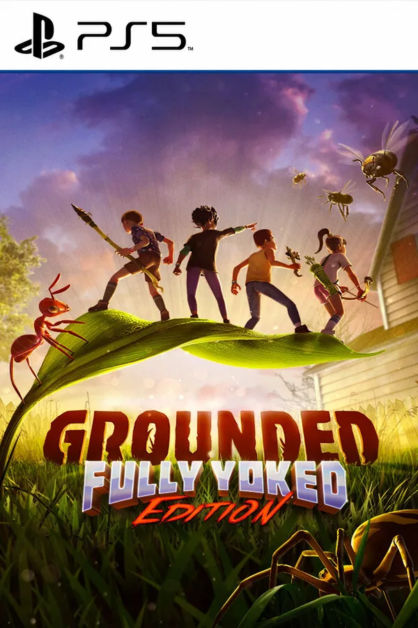 Grounded PS4/PS5 Online Account Activation