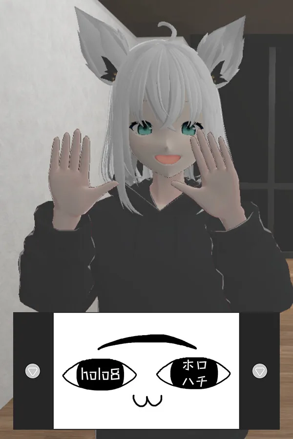 holo8 PC