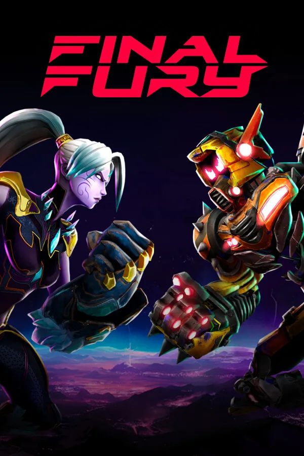 FINAL FURY PC