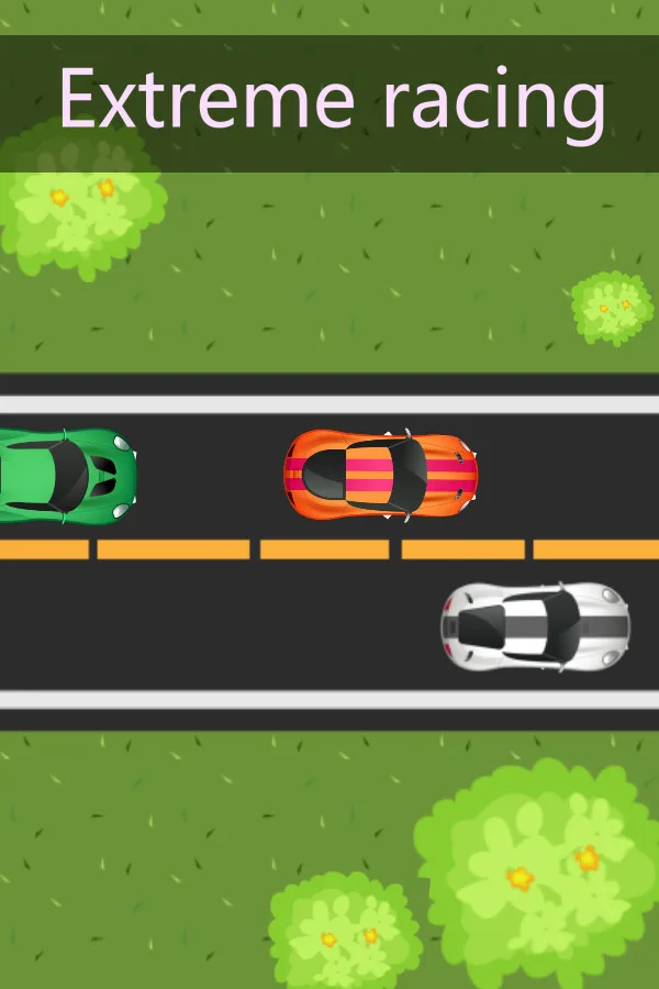 Extreme Racing