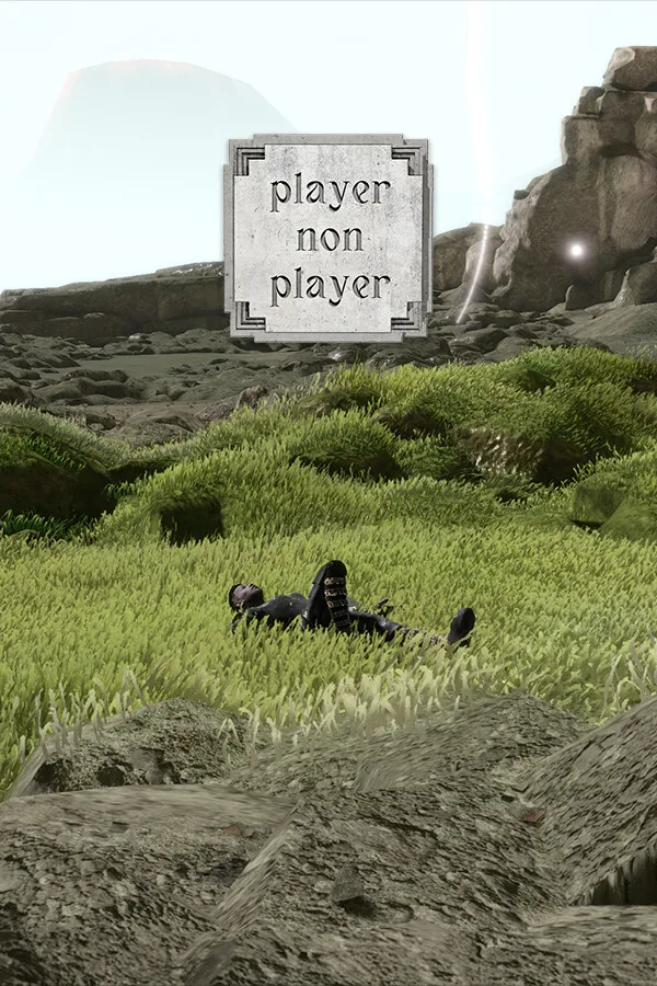 Player Non Player