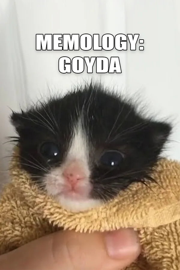 MEMOLOGY: GOYDA PC