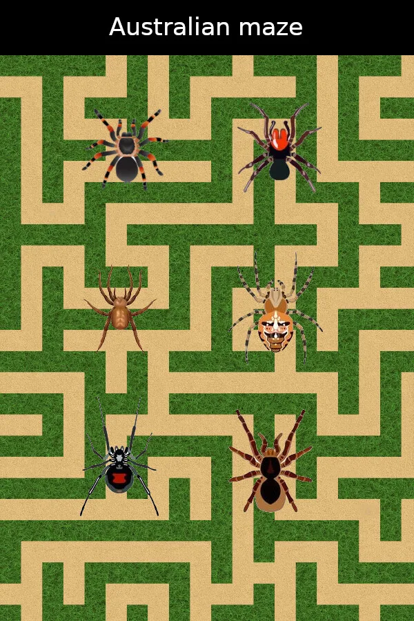 Australian maze PC