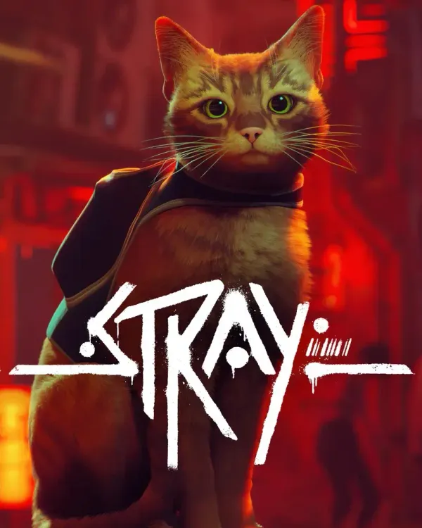 Stray Windows 10 Account
