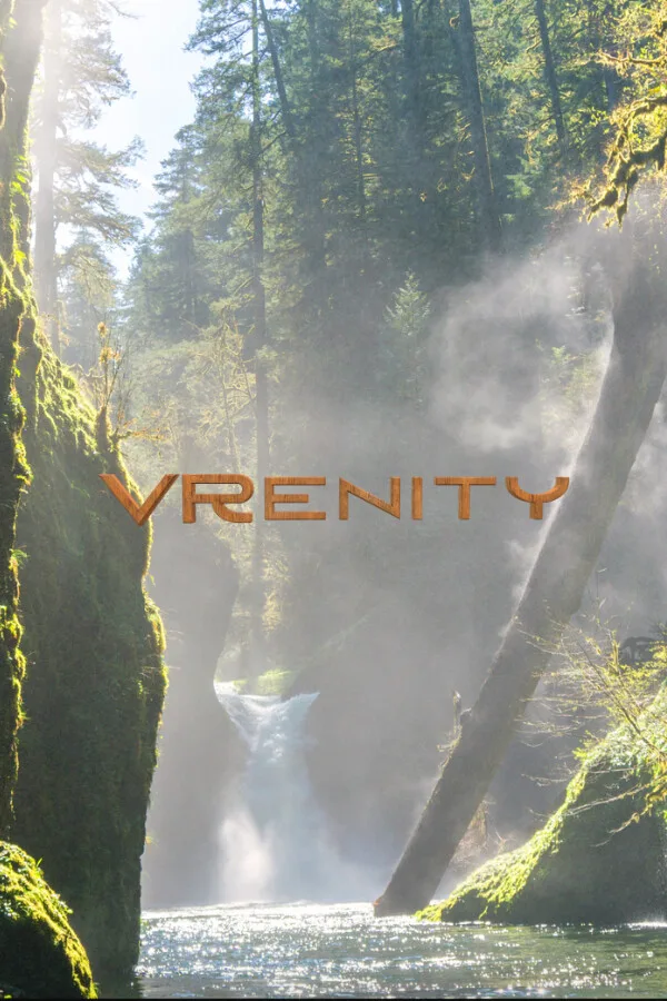 VRenity PC