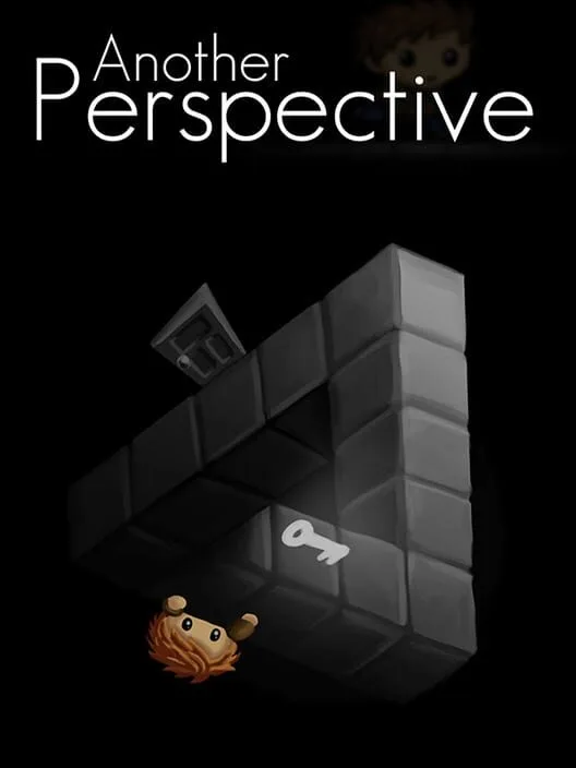 Another Perspective