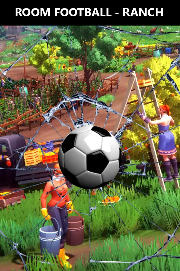 ROOM FOOTBALL: Ranch PC