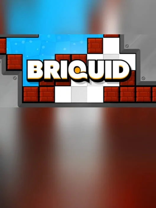 Briquid