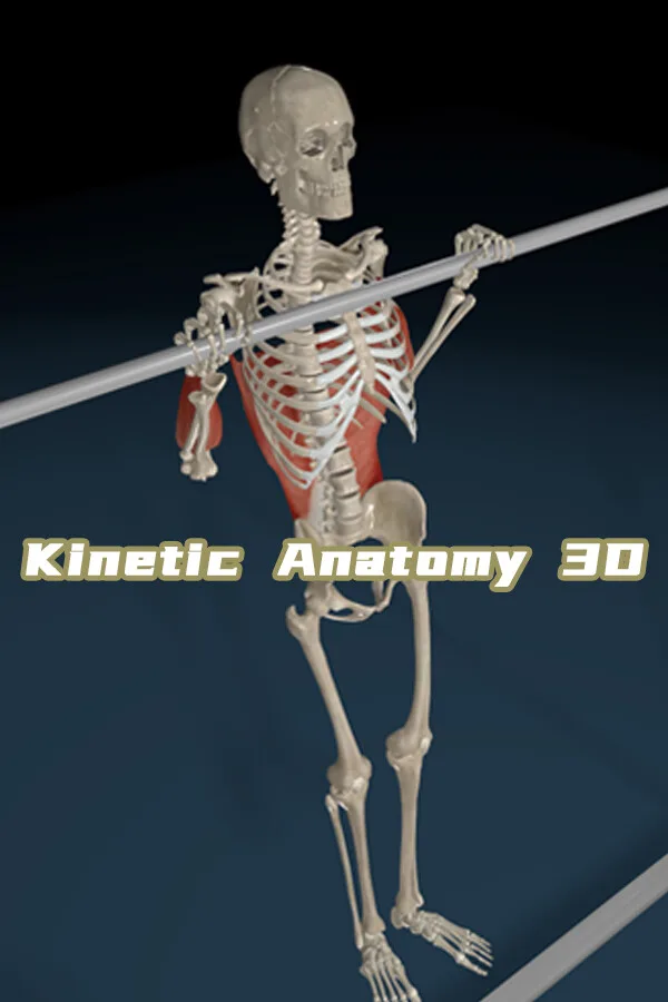 Kinetic Anatomy 3D PC